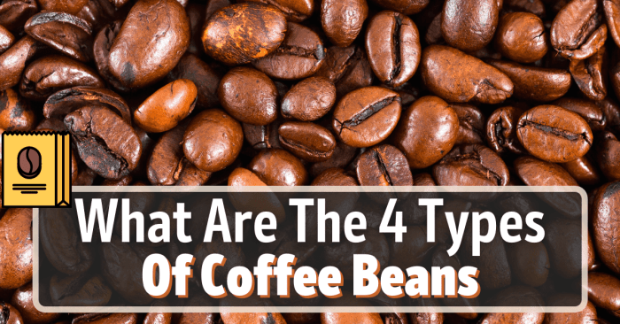 How to grow coffee beans