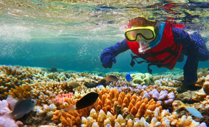 Tour snorkeling export pdf Tour snorkeling export pdf