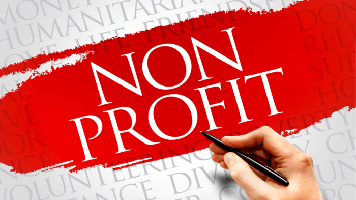 Nonprofit director and officer insurance