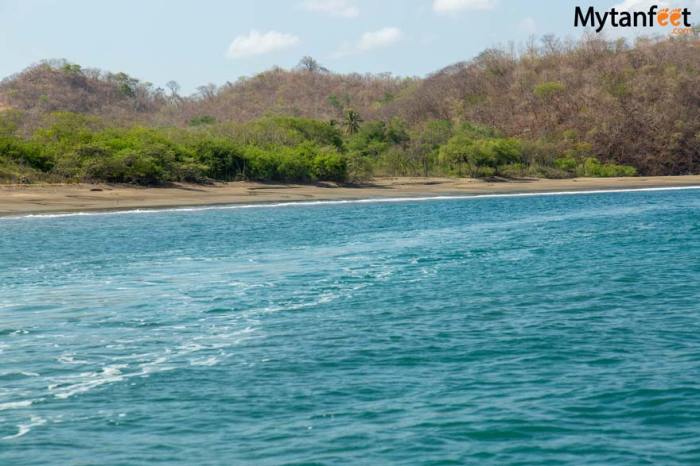 Playa Flamingo Walk-in Snorkel Tour Your Underwater Adventure