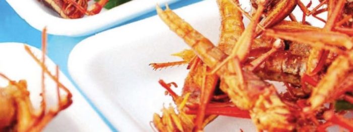 Food and Culture 7th Edition PDF Free – Download Now!