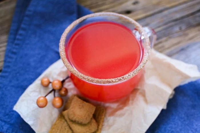 Apple Cider with Red Hots Recipe Cozy Comfort