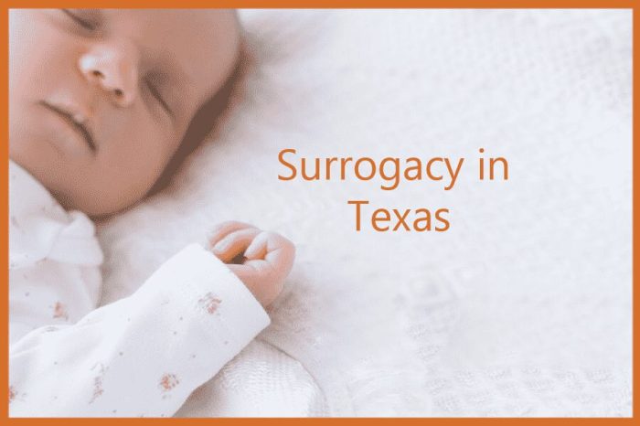 How Much Does Surrogacy Cost With Insurance in Texas?