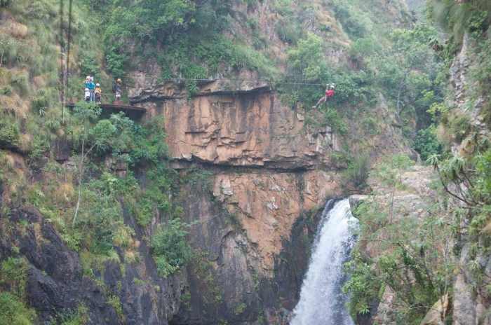 Canopy cape molo town Cape canopy tour south africa