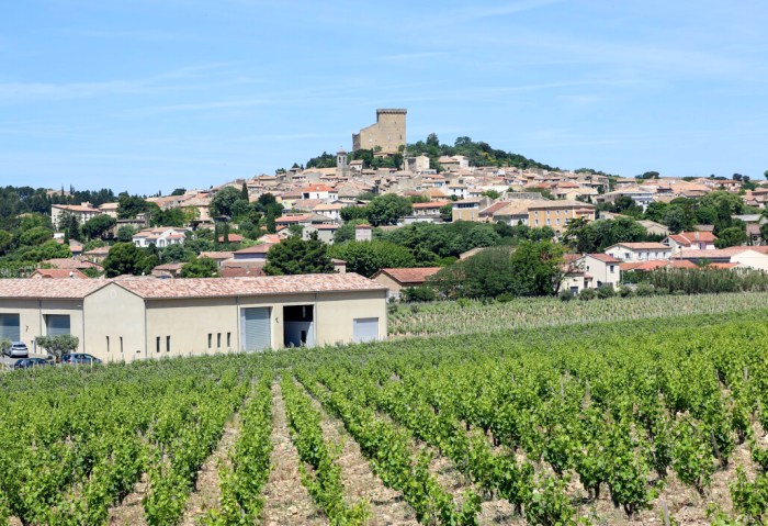 Chateauneuf du pape wine tasting tour