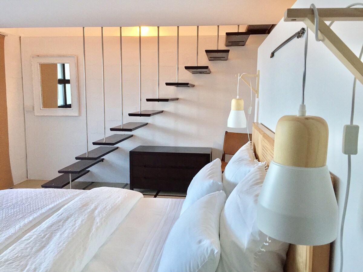Coffs Harbour Pet-Friendly Accommodation