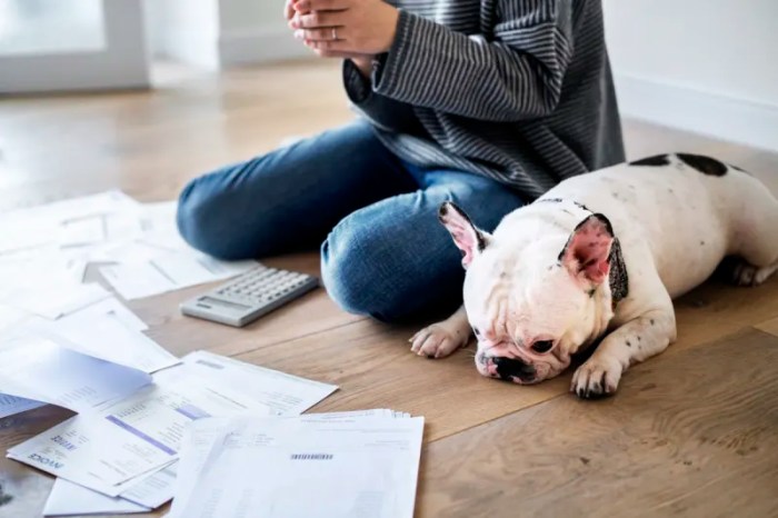 What is proof of renters insurance